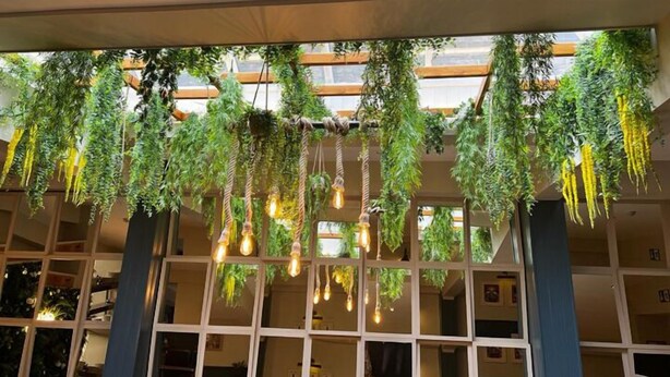 A room with a large window, wooden beams, and hanging plants with light bulbs. - The Coach House Inn (Chester)