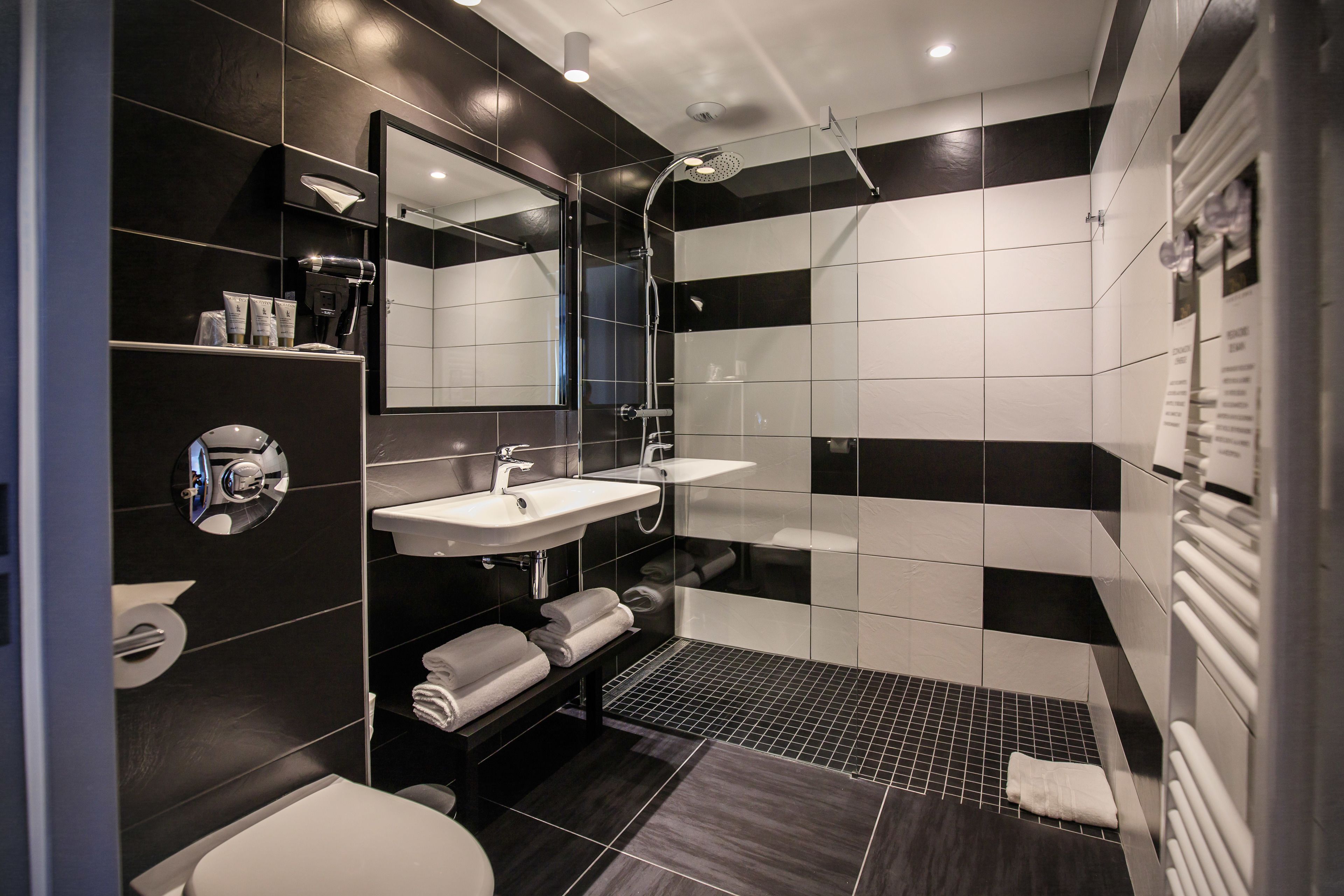 executive room, 1 queen bed with sofa bed, non smoking | bathroom | shower, free toiletries, hair dryer, bathrobes