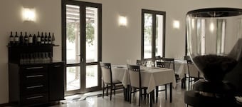 Camino Real Plaza Hotel