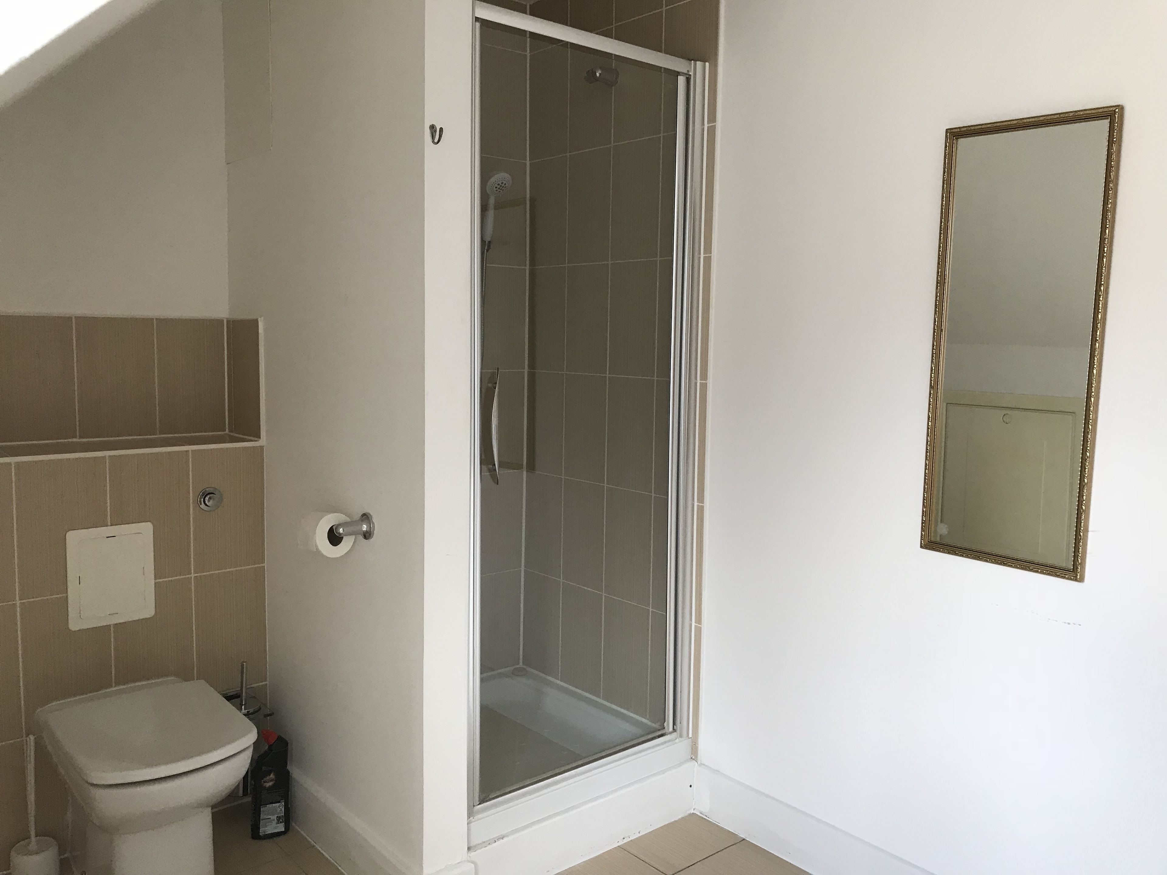 A bathroom with a toilet, a shower, and a mirror.
