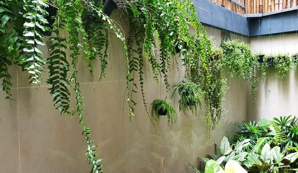 Photo - Whereder Poshtel