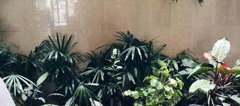 Whereder Poshtel - Hostel