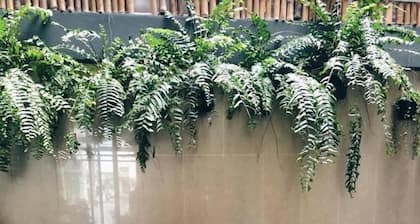 Whereder Poshtel - Hostel