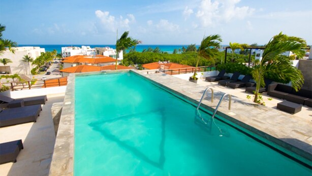 Ein Pool mit Blick auf den Ozean, umgeben von Palmen und Liegestühlen.