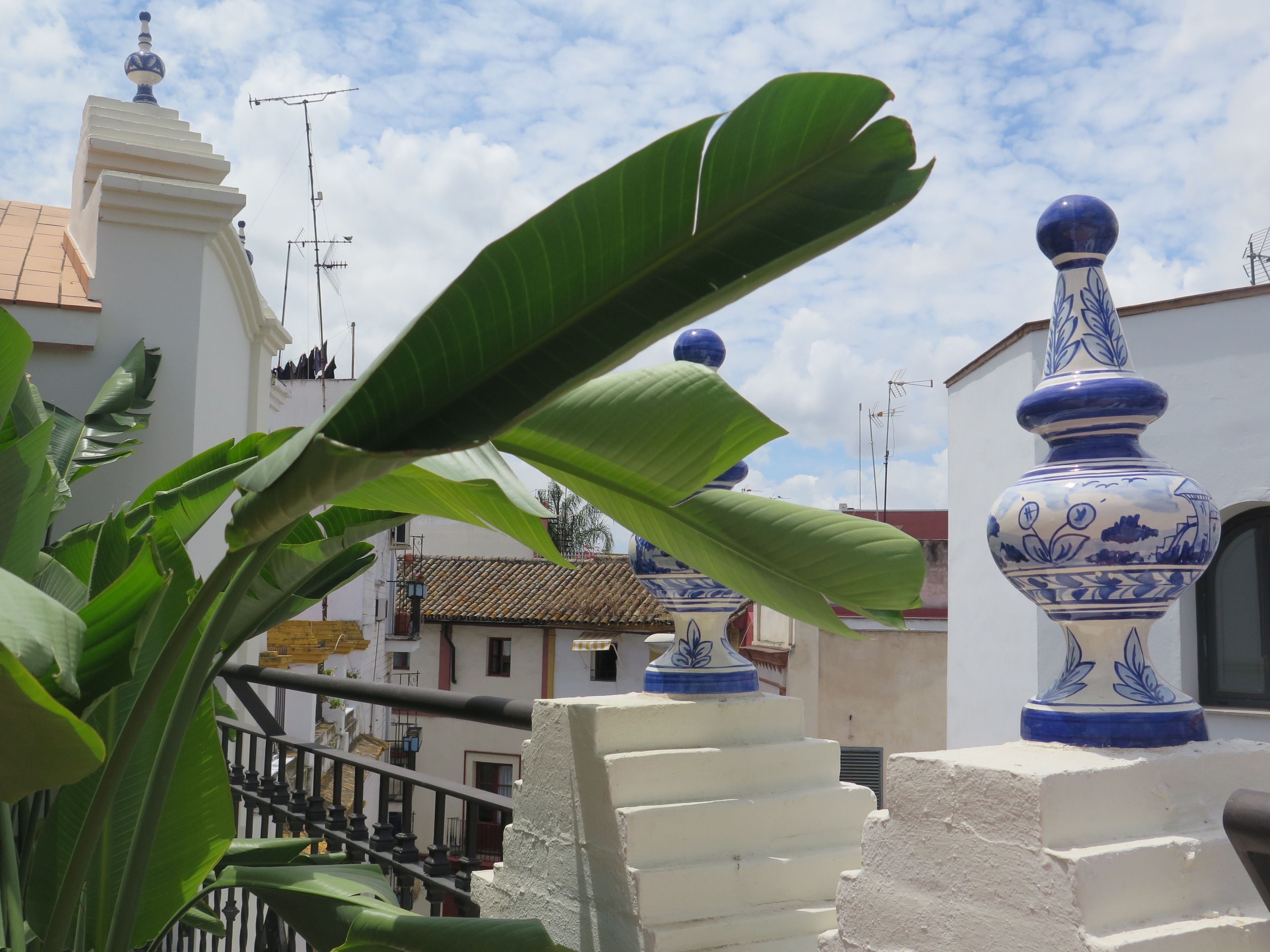 Een balkon met een witte balustrade, een grote groene plant en een blauw-witte keramieken vaas.
