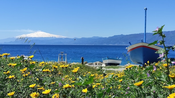 A coastal landscape with a boat, a mountain, and a field of yellow flowers. - Abacus (Reggio Calabria)