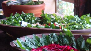 Potted plants with green leaves and red stems on a table. - Fazenda Cana Verde (Itu)