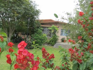 Exterior detail - Casa Mirandita (Volcan)