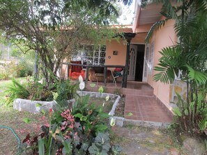A garden with a variety of plants and a small seating area with a red chair.