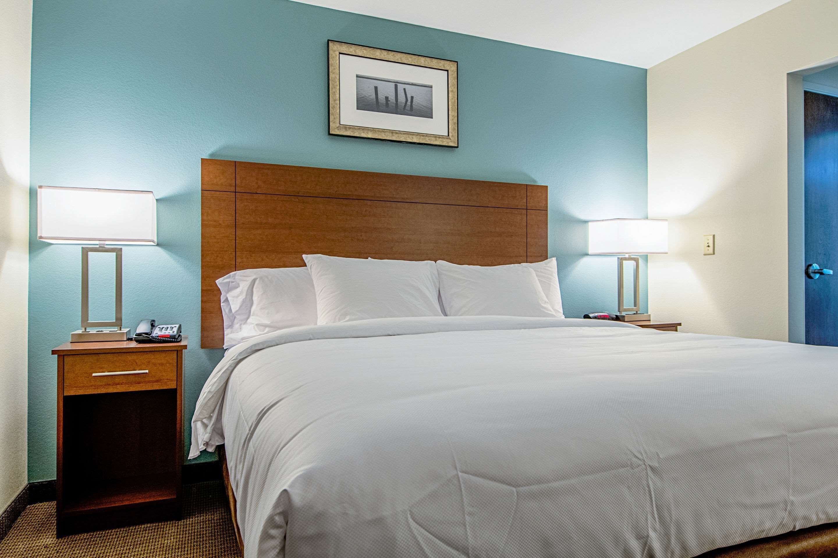 suite, 1 king bed, non smoking | hypo-allergenic bedding, desk, blackout curtains, iron/ironing board