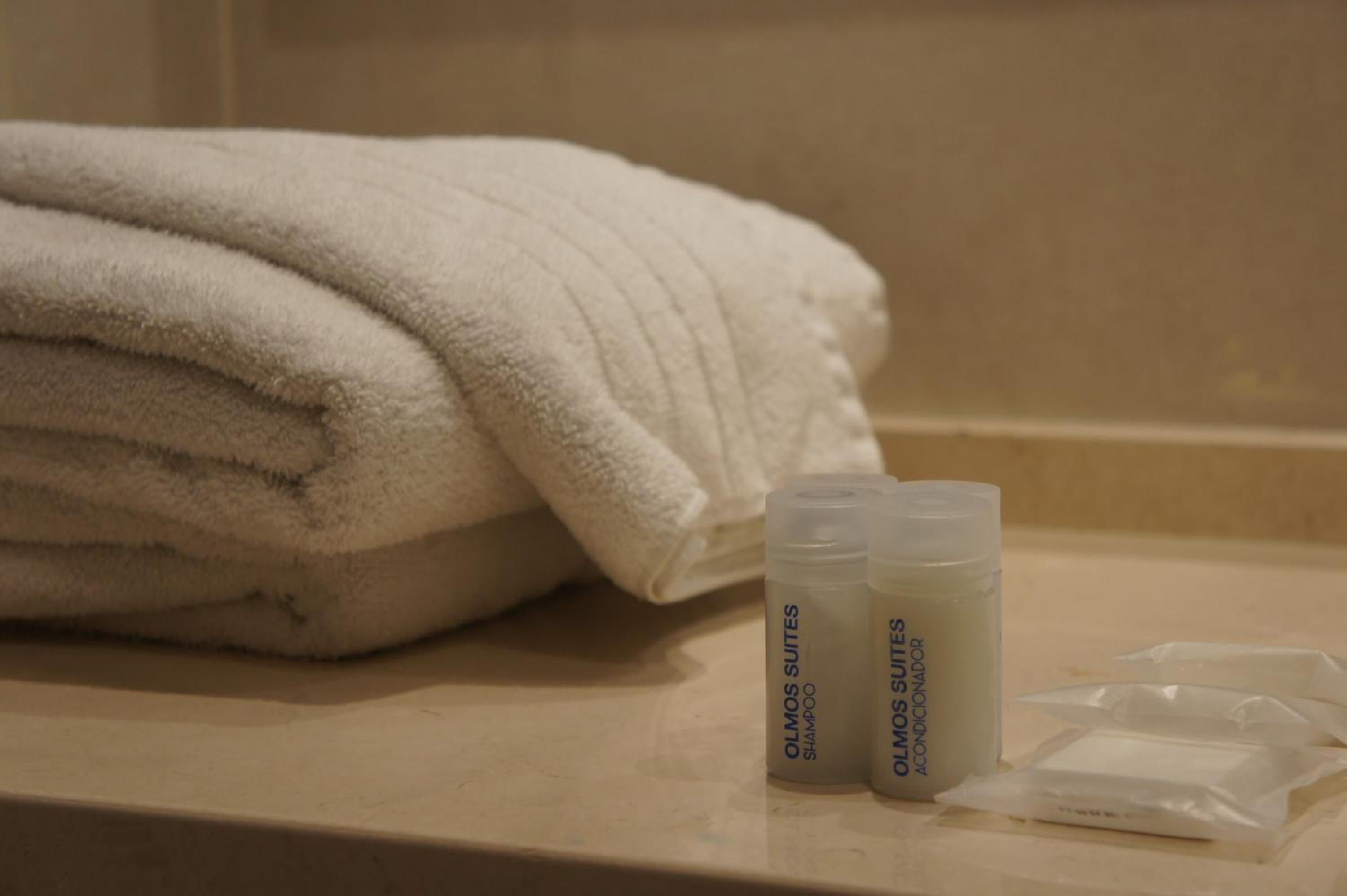 shower, free toiletries, hair dryer, bidet