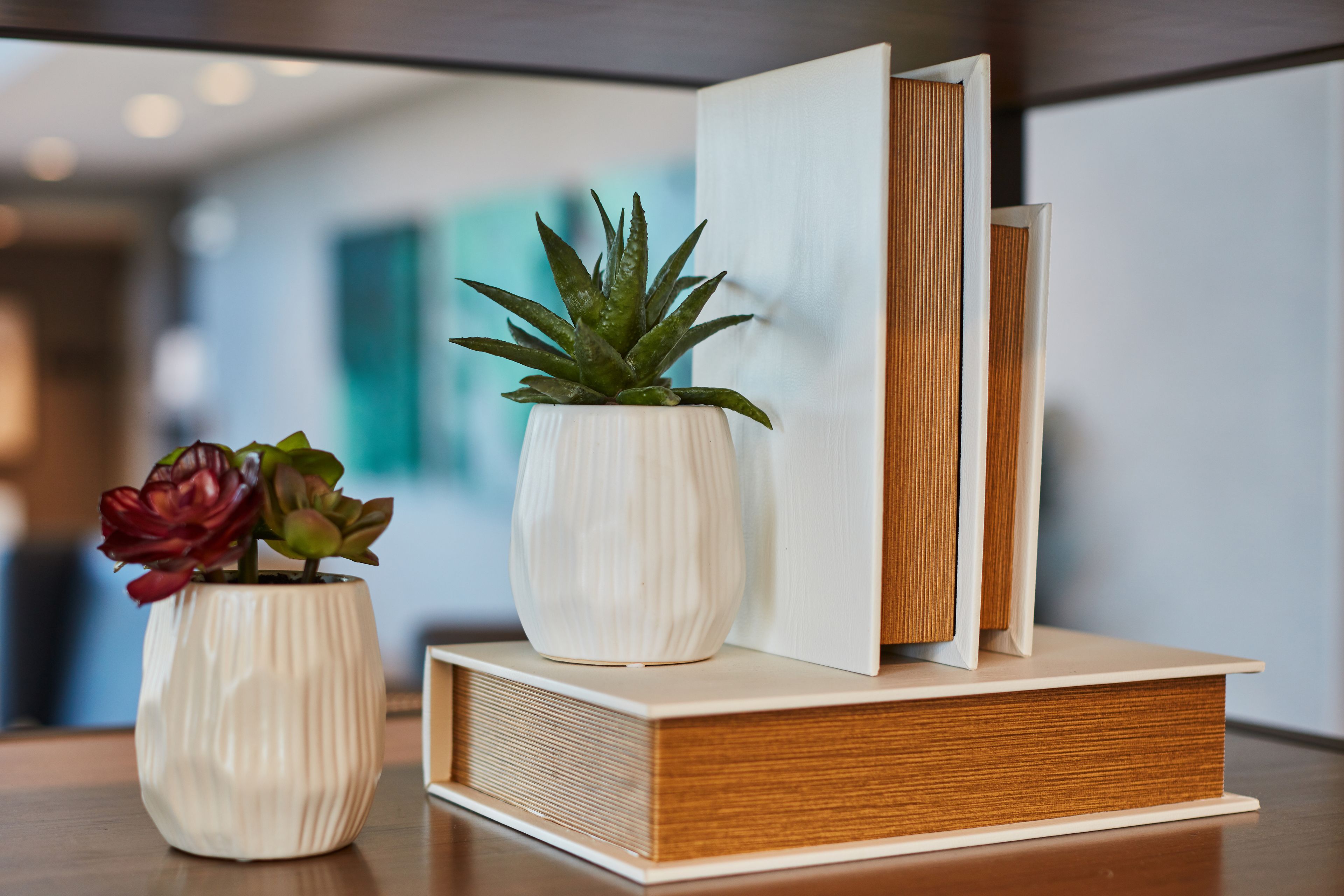 Een witte gegroefde vaas met een vetplantje en een rode bloem op een houten tafel, naast een gesloten boek en een open boek.