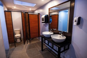 A modern bathroom with two sinks, a toilet, and a mirror.