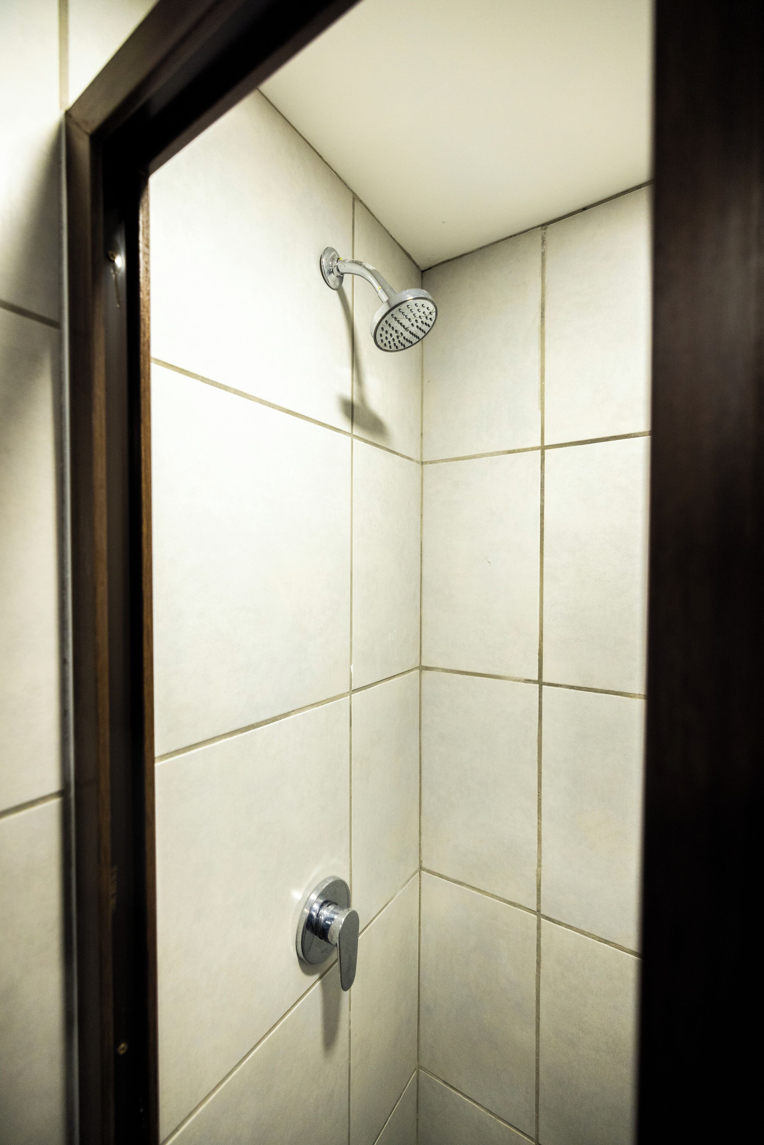 capsula individual | bathroom | toilet paper