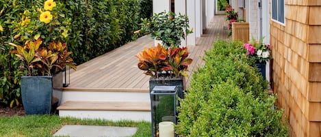 Vista desde la propiedad