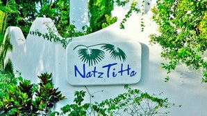 A sign with the text "NatzTitta" surrounded by lush greenery. - Natz Ti Ha A301 by PRP (Playa del Carmen)
