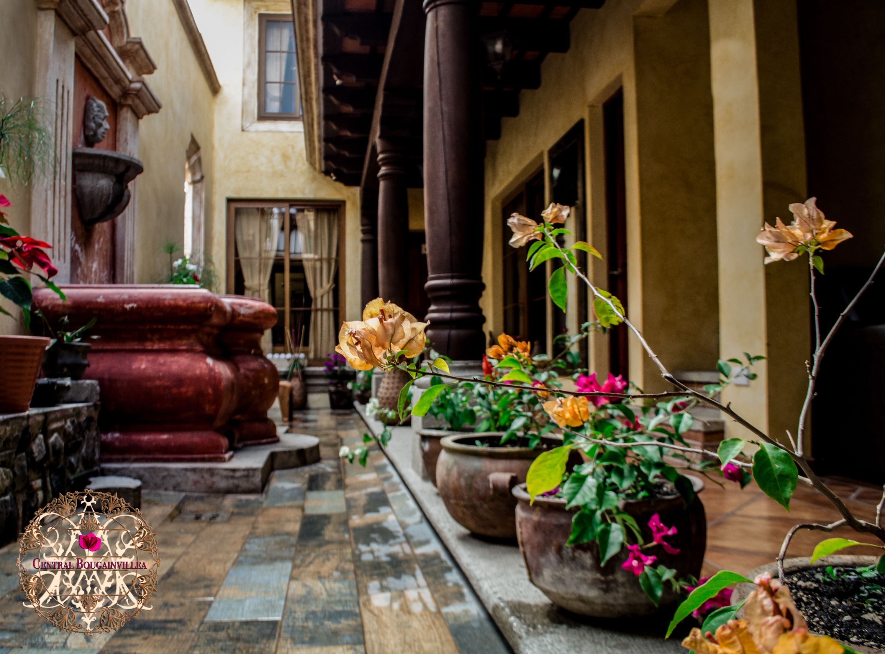 ガーデン ビュー