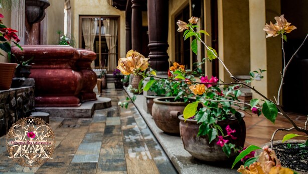 Une cour intérieure agrémentée de plantes et de fleurs en pot, dotée d’un sol en pierre et ornée de colonnes architecturales.