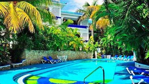 Ein Swimmingpool mit blau- und grün gefliesten Rändern, umgeben von Palmen und Liegestühlen.