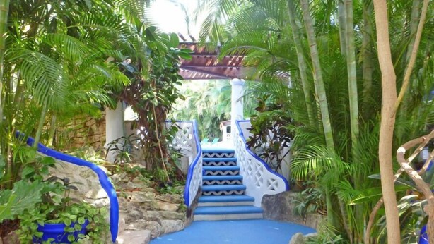 Eine Treppe, umgeben von üppiger Vegetation, führt zu einem überdachten Bereich mit einer Steinwand und einem blauen Weg.