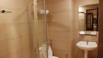 A bathroom with a glass-enclosed shower, a toilet, and a sink with a mirror above it.