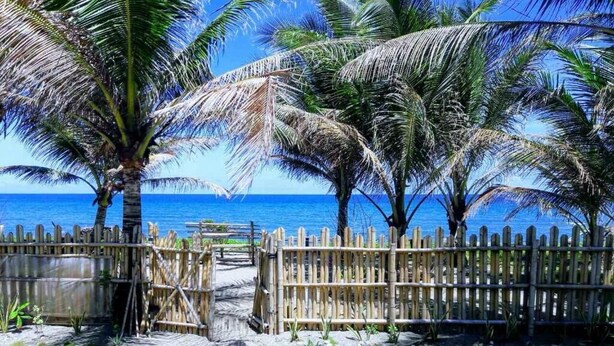 Une plage bordée de palmiers, une clôture en bois et une vue dégagée sur l’océan.