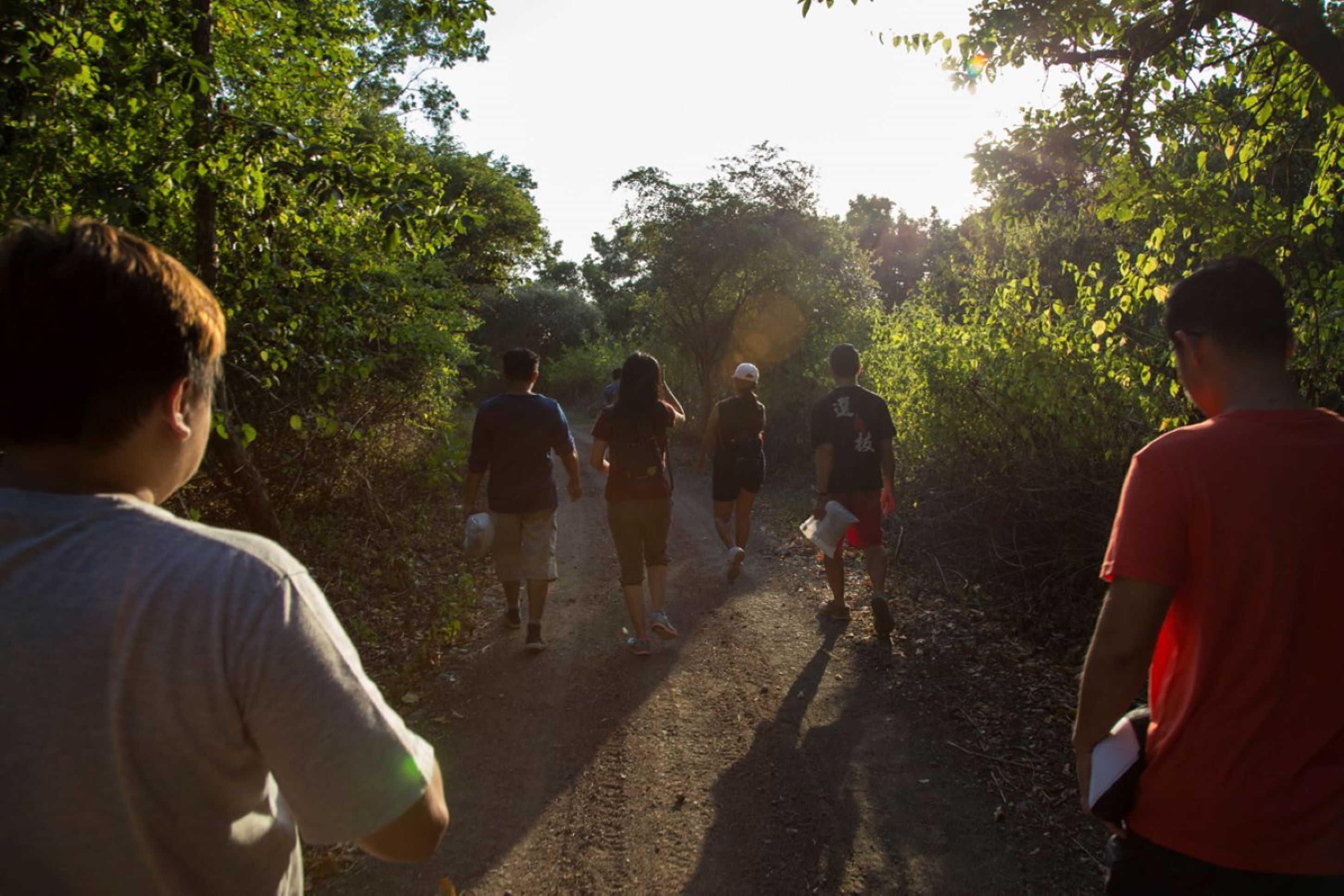 A group of people walking on a dirt path surrounded by trees.