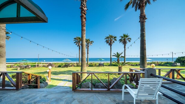 A patio with a view of the ocean, palm trees, and string lights. - Jeju Bada Walking Pension (Seogwipo)