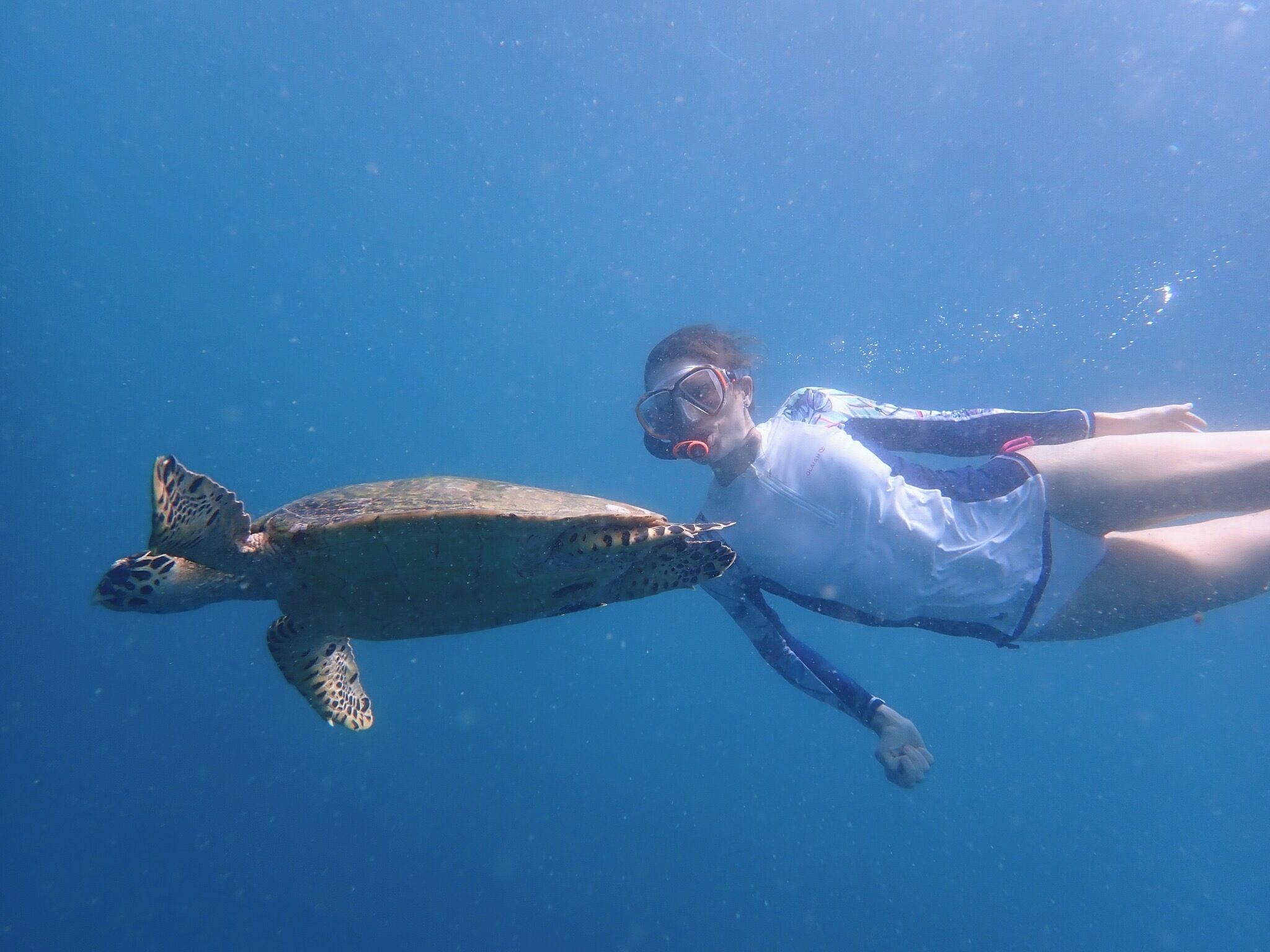 A person snorkeling with a sea turtle.