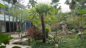 Un jardín con un estanque, palmeras y un puente de piedra.