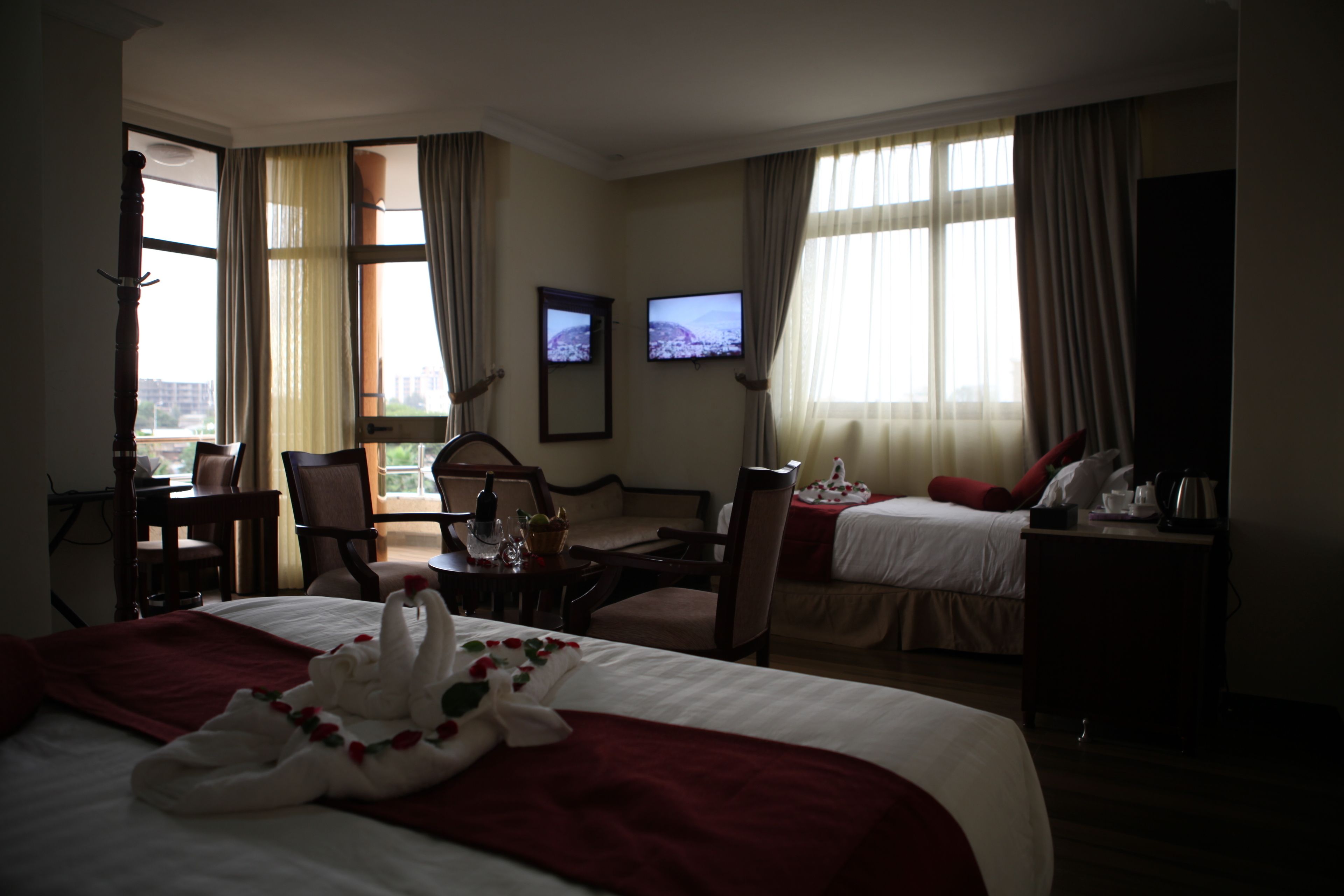 suite | view from room