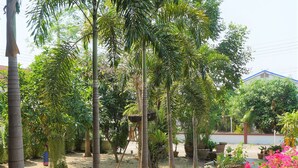 A garden with various potted plants and a concrete pathway. - Punya Garden (Phitsanulok)