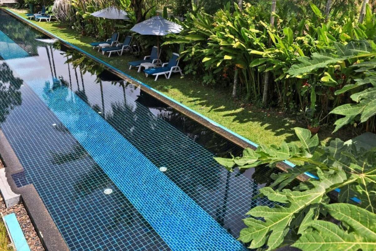 A swimming pool with a tiled edge, surrounded by lush greenery and lounge chairs.