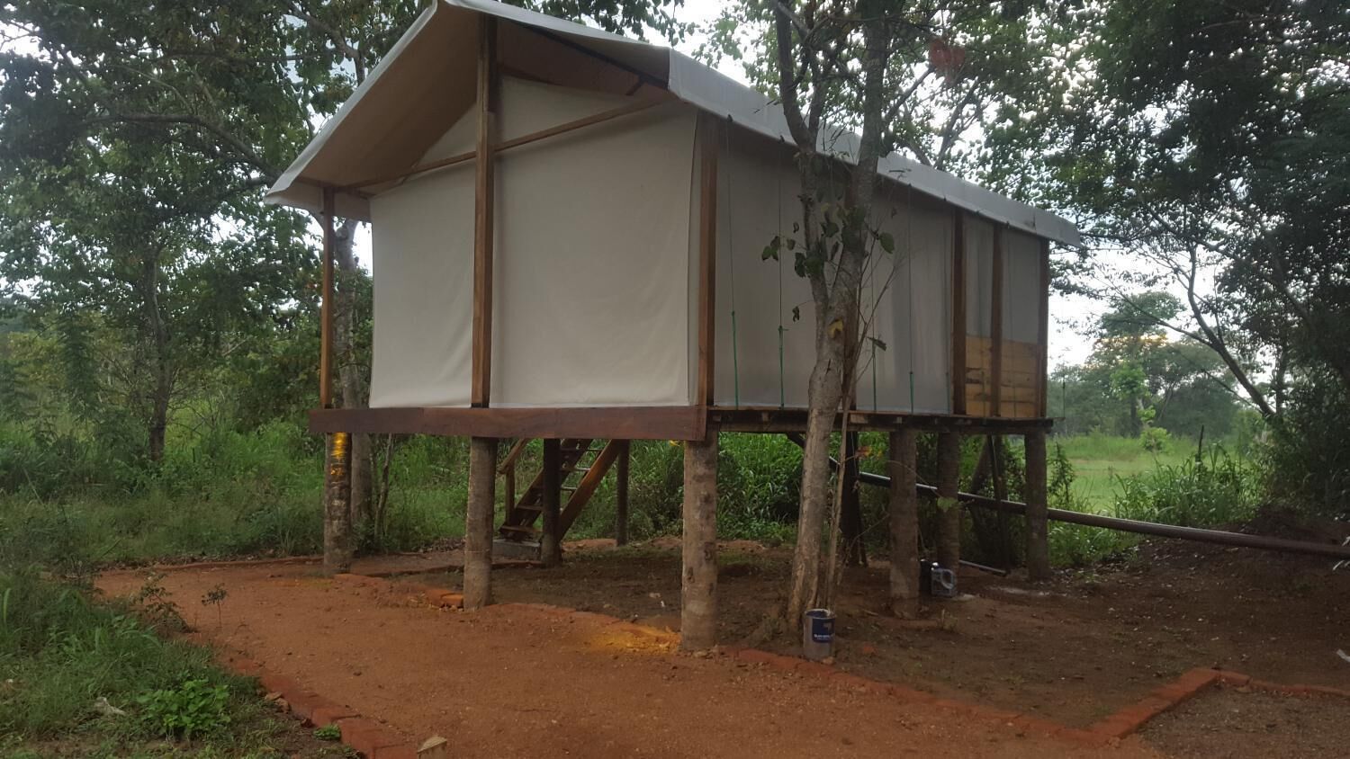 A treehouse with a simple wooden structure and a white fabric covering, supported by wooden beams and anchored to trees.