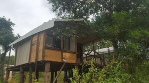 Exterior - Asharo Sigiriya Villa (Sigiriya)