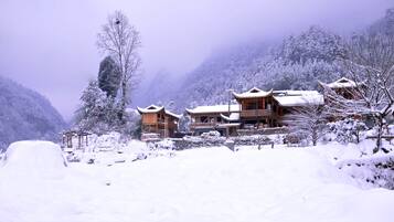 Esterni