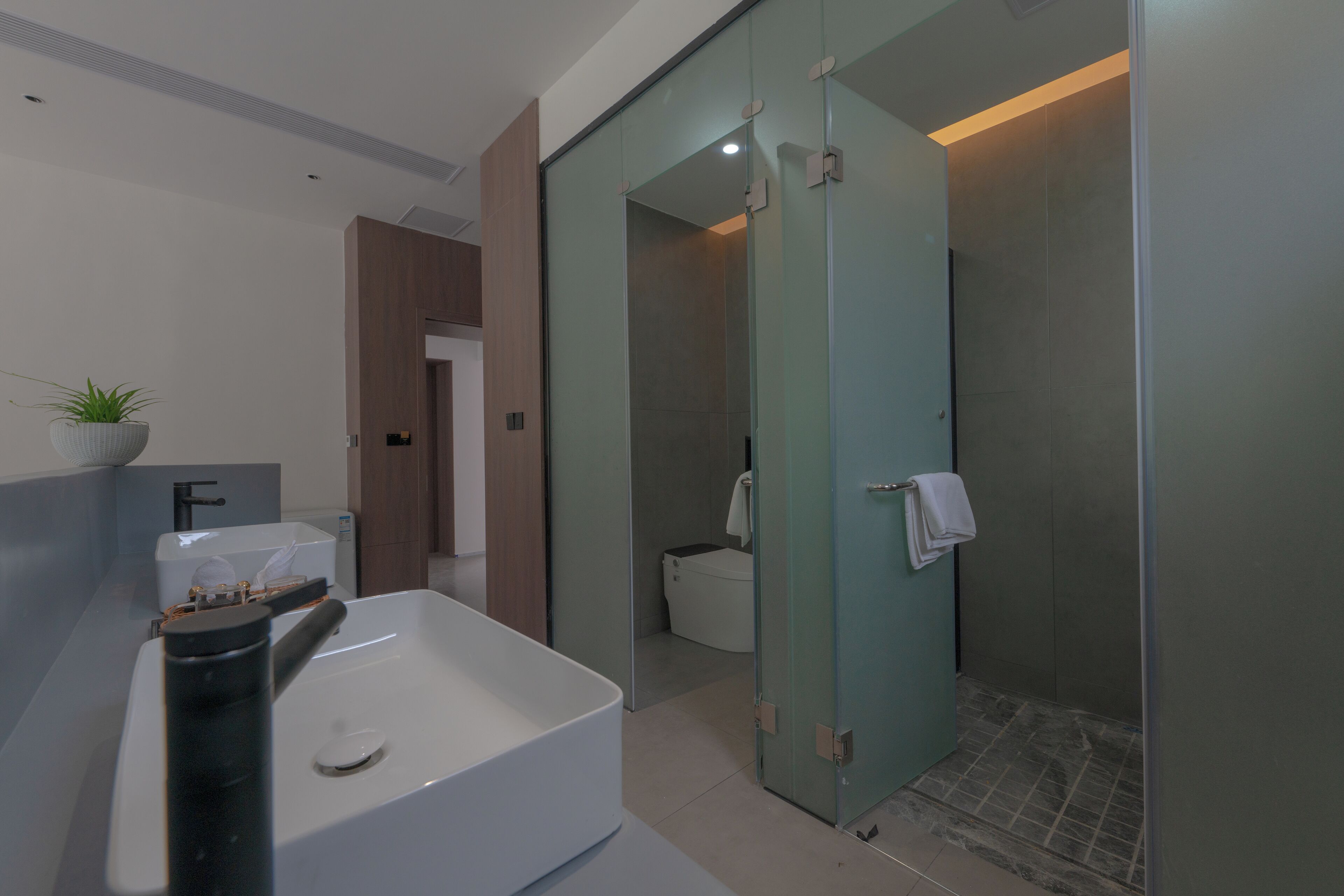 A modern bathroom with a large sink, a glass shower enclosure, and a toilet visible through a glass door.