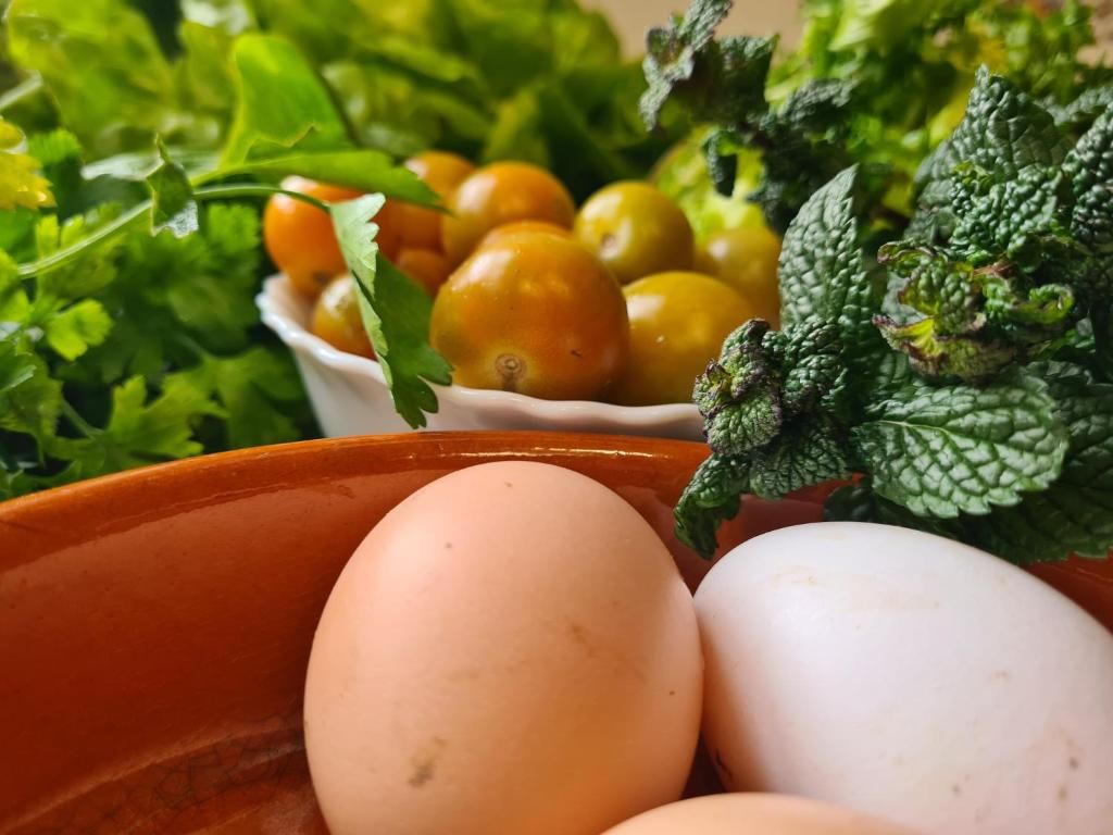 Un tazón con huevos y un tazón pequeño de tomates.