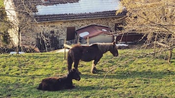 Un establo con un caballo y un potrillo en un campo cubierto de hierba, un edificio de piedra con techo de tejas y árboles desnudos.