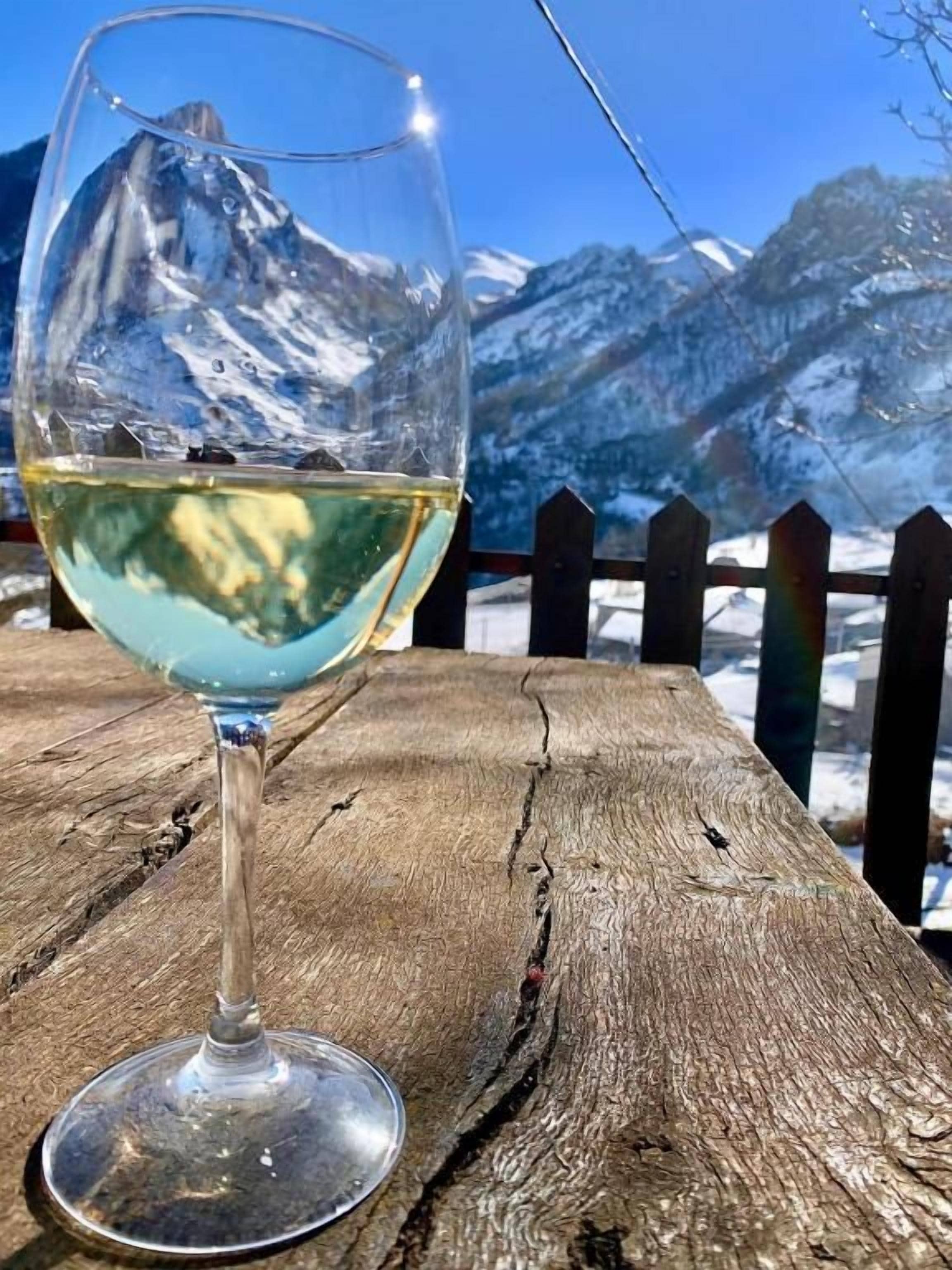 A glass of white wine on a wooden table with a mountain view.