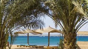 Playa privada y submarinismo