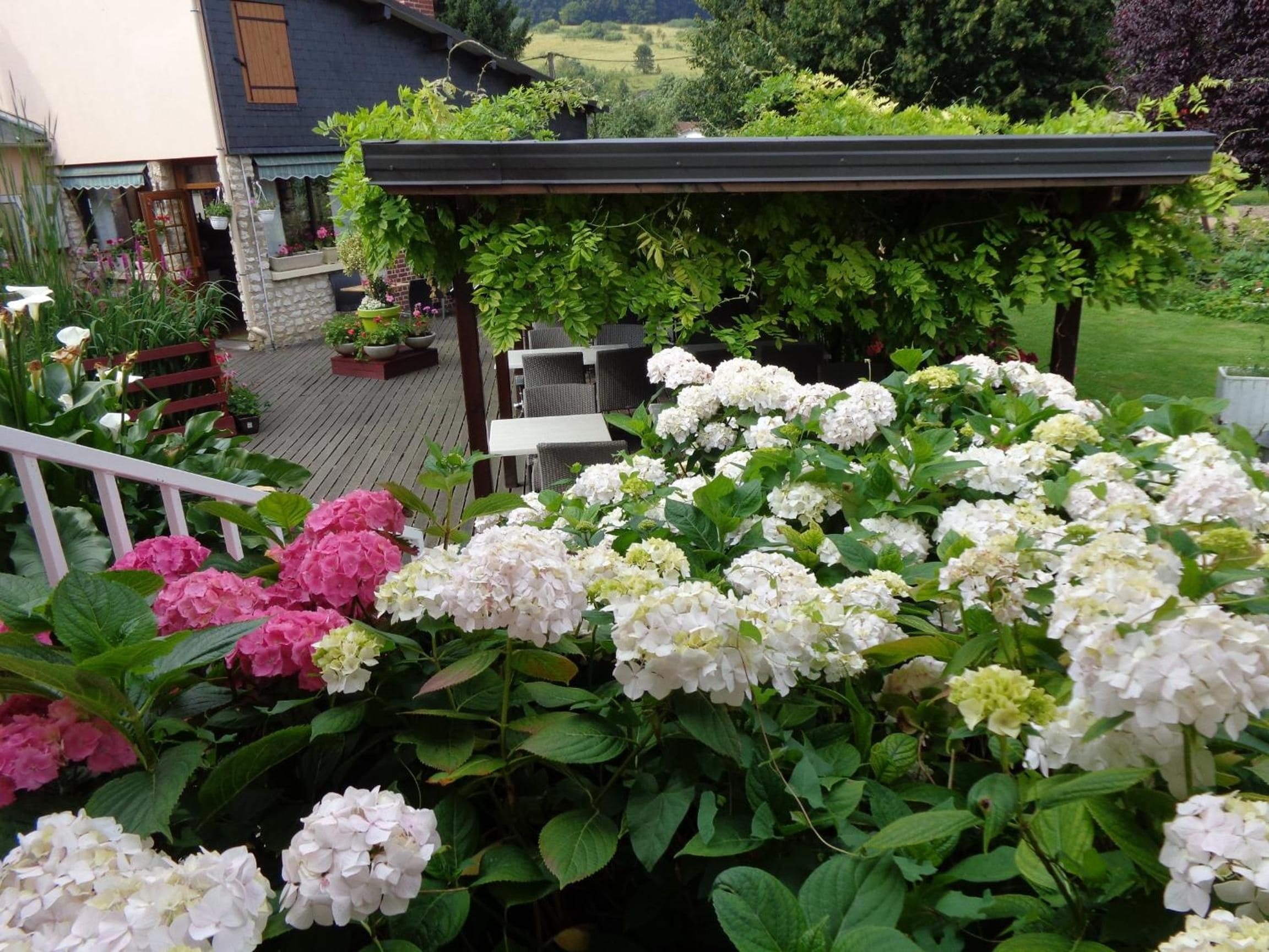 A garden with a pergola, outdoor seating, and a variety of hydrangea plants.