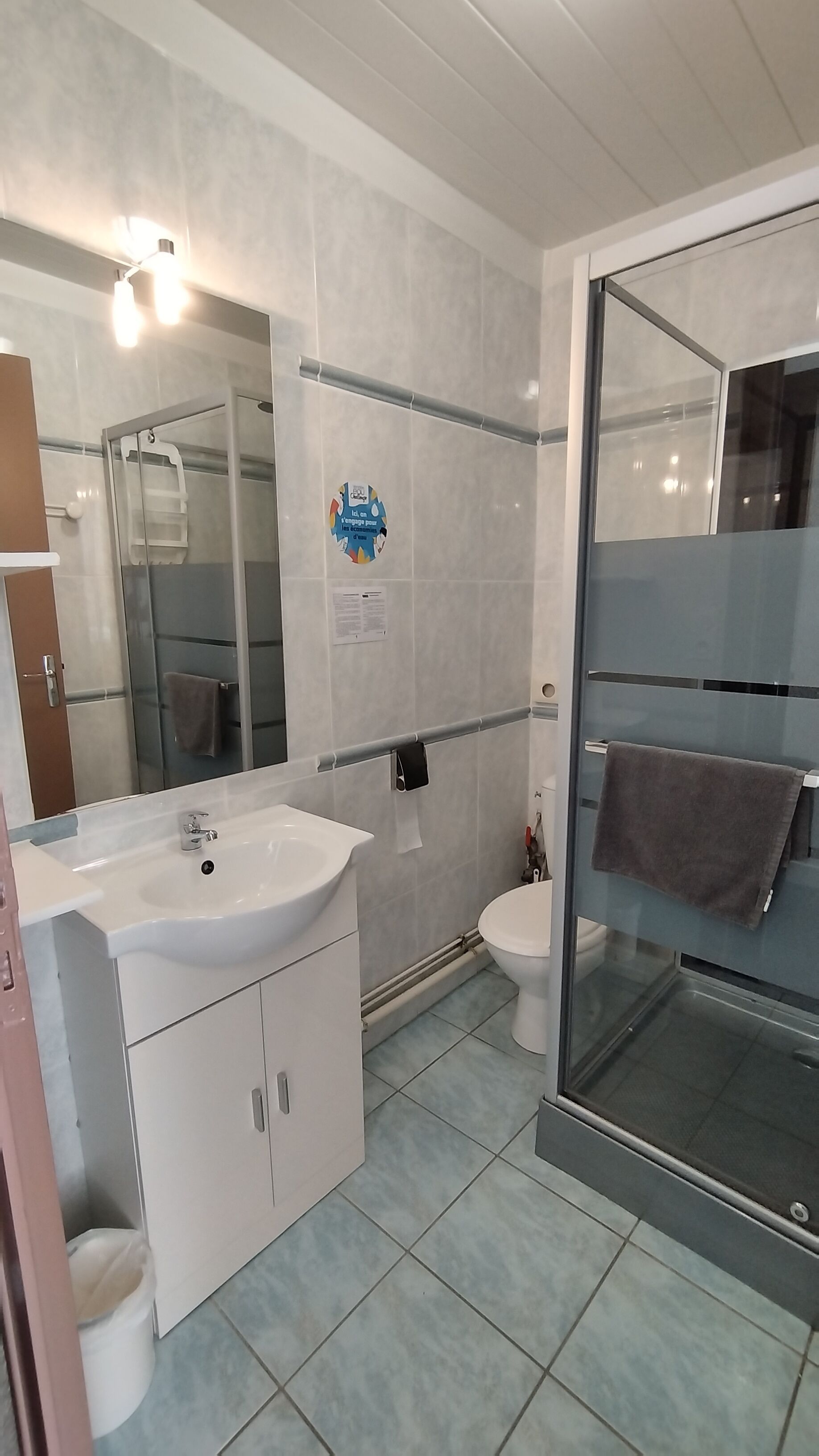 A modern bathroom with a glass shower enclosure, a white sink, and a toilet.