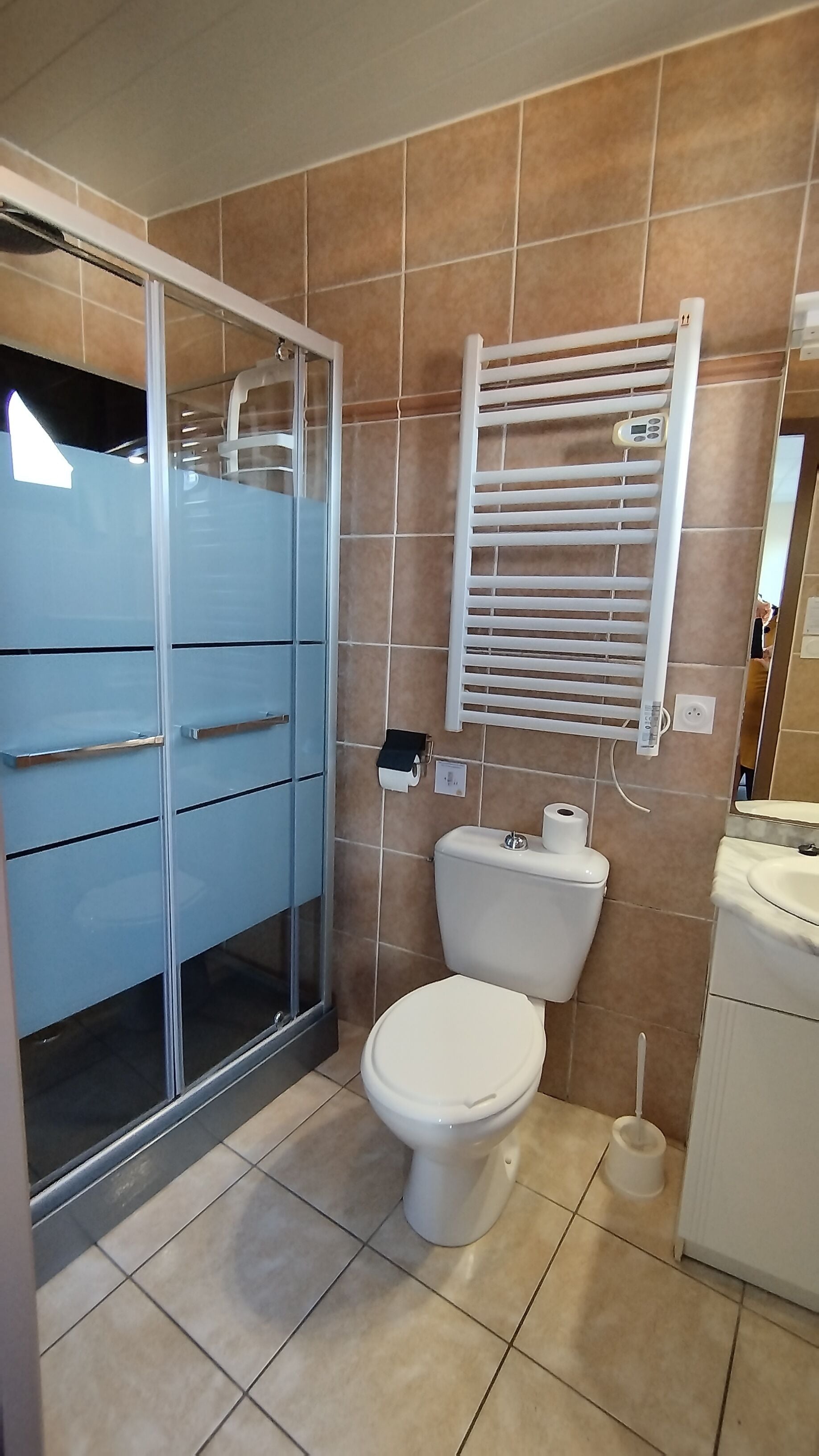 Ein Badezimmer mit Toilette, einer Duschkabine mit Glastüren, einem Handtuchhalter und einem Spiegel.