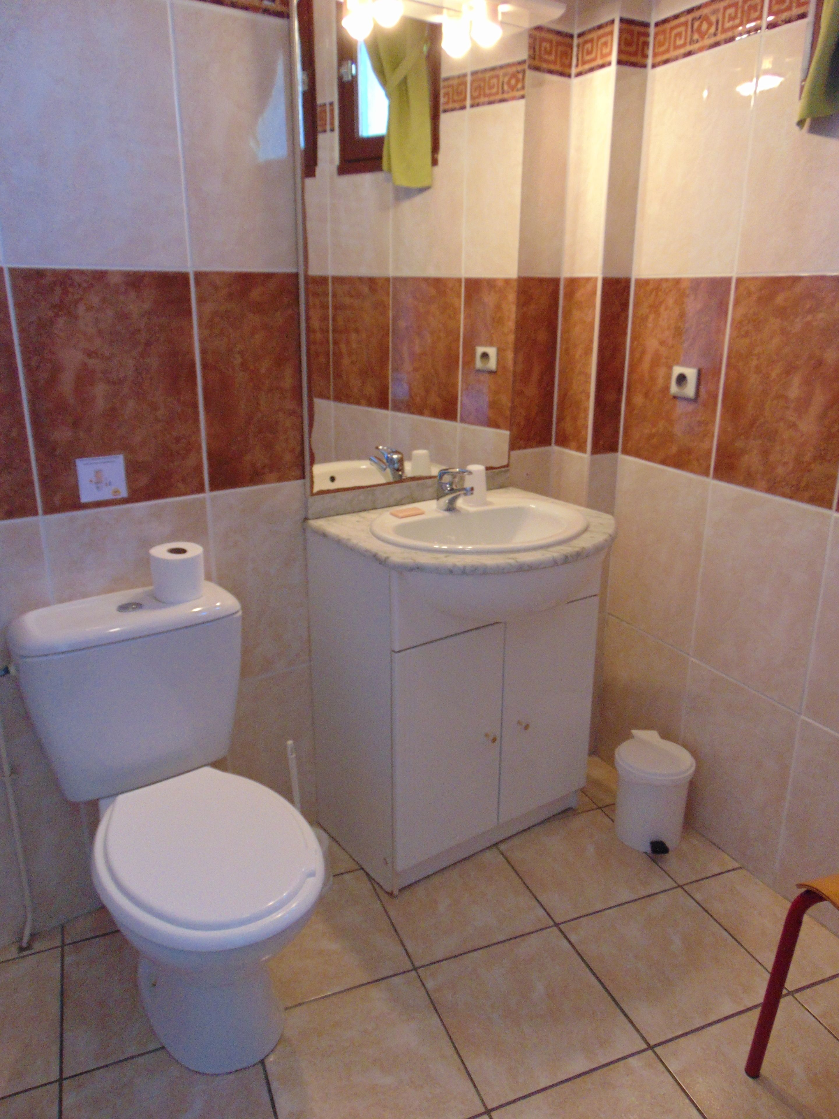 A bathroom with a toilet, sink, and mirror.