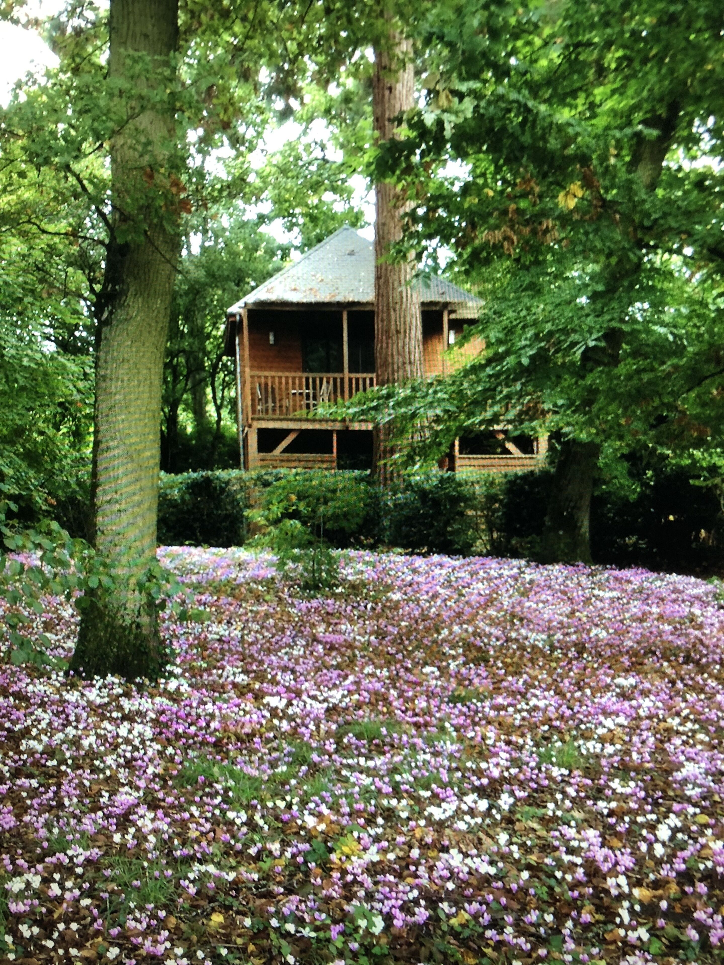 Foto - Manoir Du Parc (Adults only)