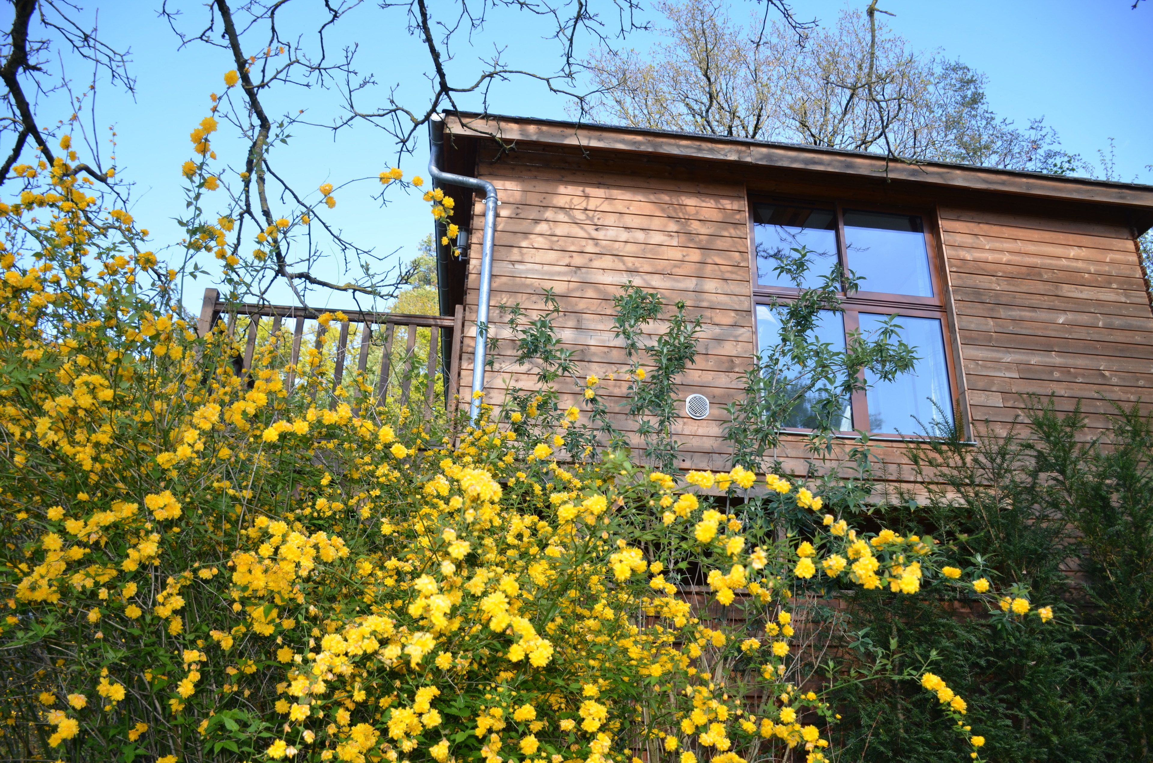 Foto - Manoir Du Parc (Adults only)