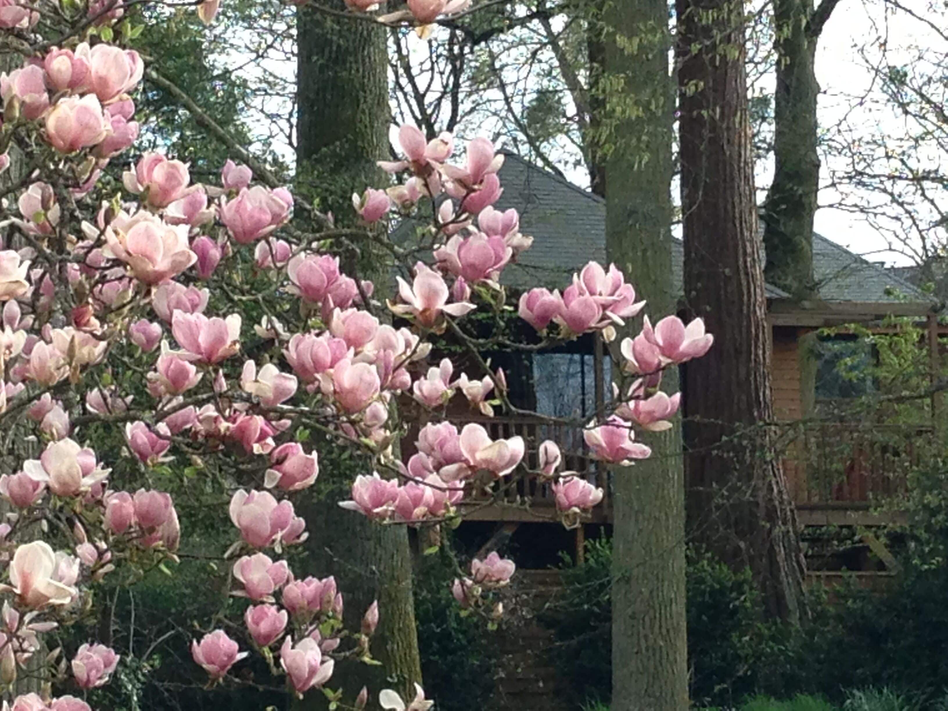 Foto - Manoir Du Parc (Adults only)