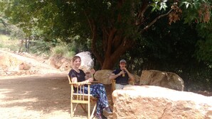 Two people sitting on wooden chairs under a large tree in a natural setting with rocks and greenery. - go camping (Ella)