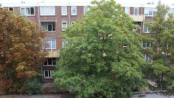 Studio (A1) | Pemandangan dari kamar